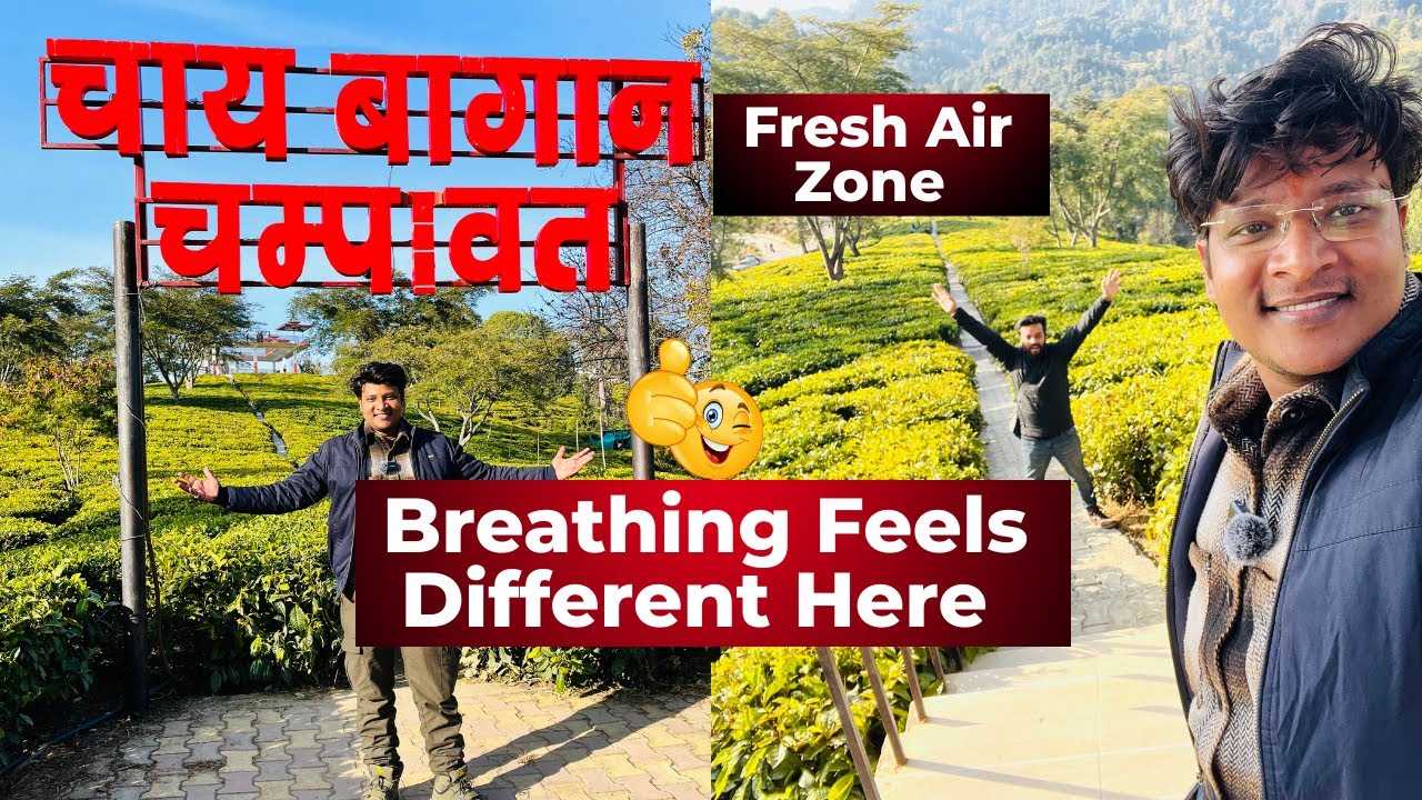 Breathing Pure Air at Champawat Tea Garden | AQI Shocked Me | EP 3