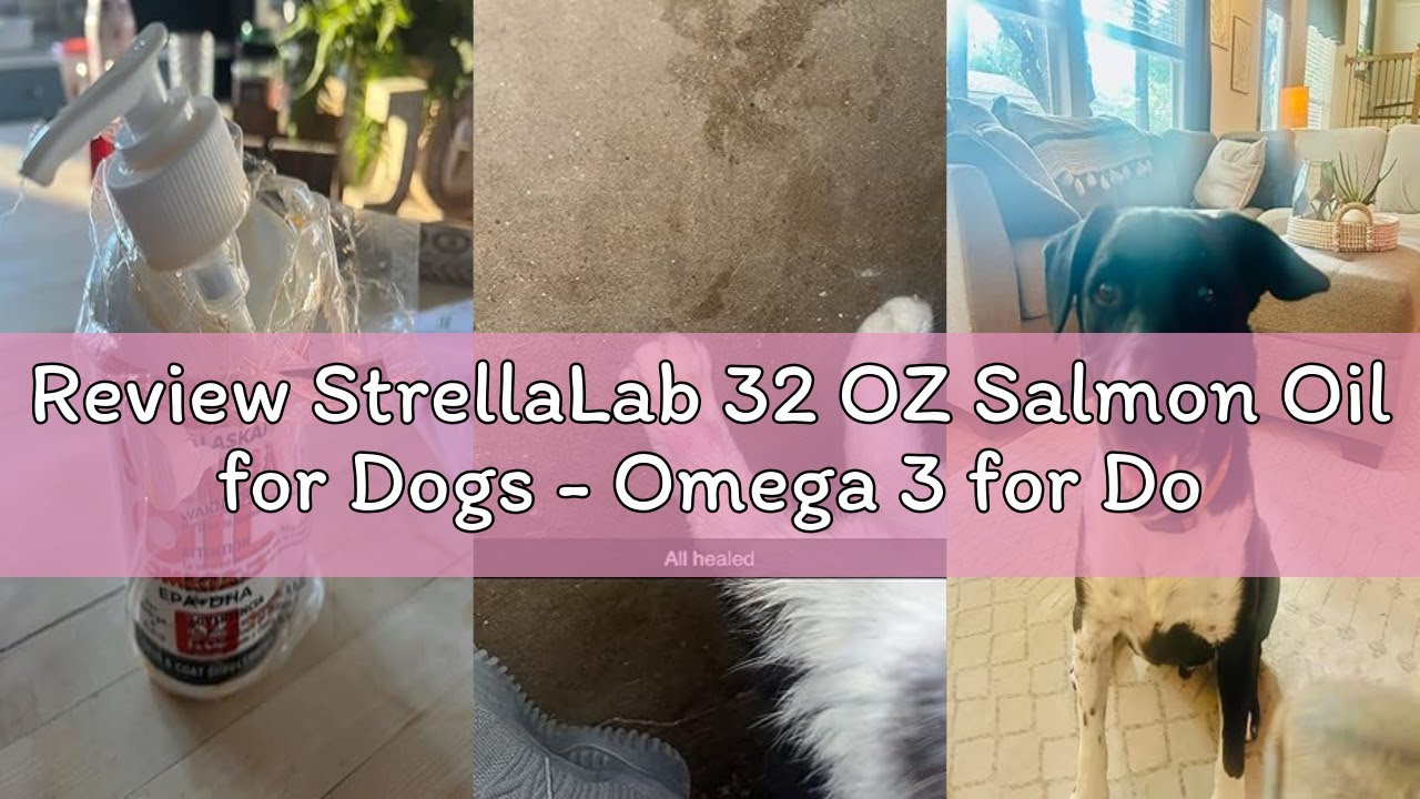 Review StrellaLab 32 OZ Salmon Oil for Dogs - Omega 3 for Dogs & Cats, Itch & Allergy Relief, Wild A