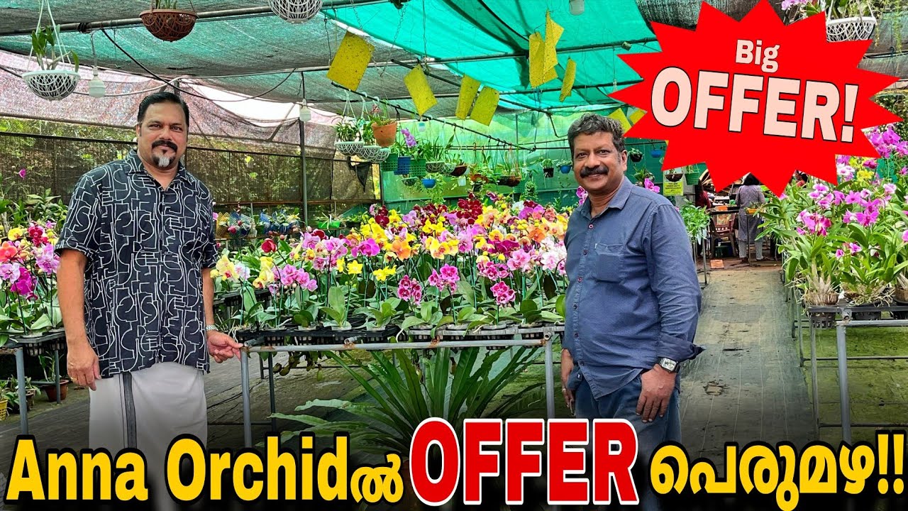 ഈ വീഡിയോ കണ്ടില്ലെങ്കിൽ നിങ്ങൾക്ക് വൻ നഷ്ടം! Anna Orchidൽ OFFER പെരുമഴ!! 😲🤭