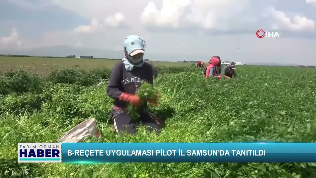 B-Reçete uygulaması pilot il Samsun’da tanıtıldı
