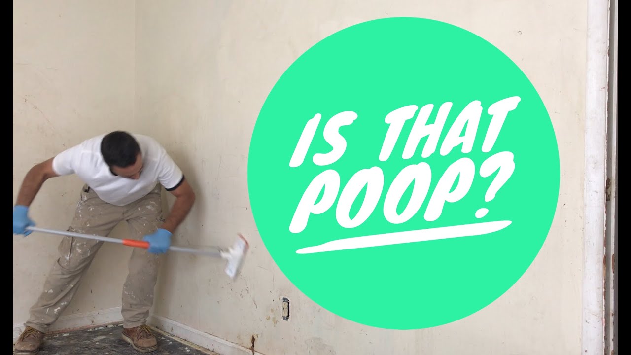 Rental Property Rehab: How To Paint Over Crayon And Marker