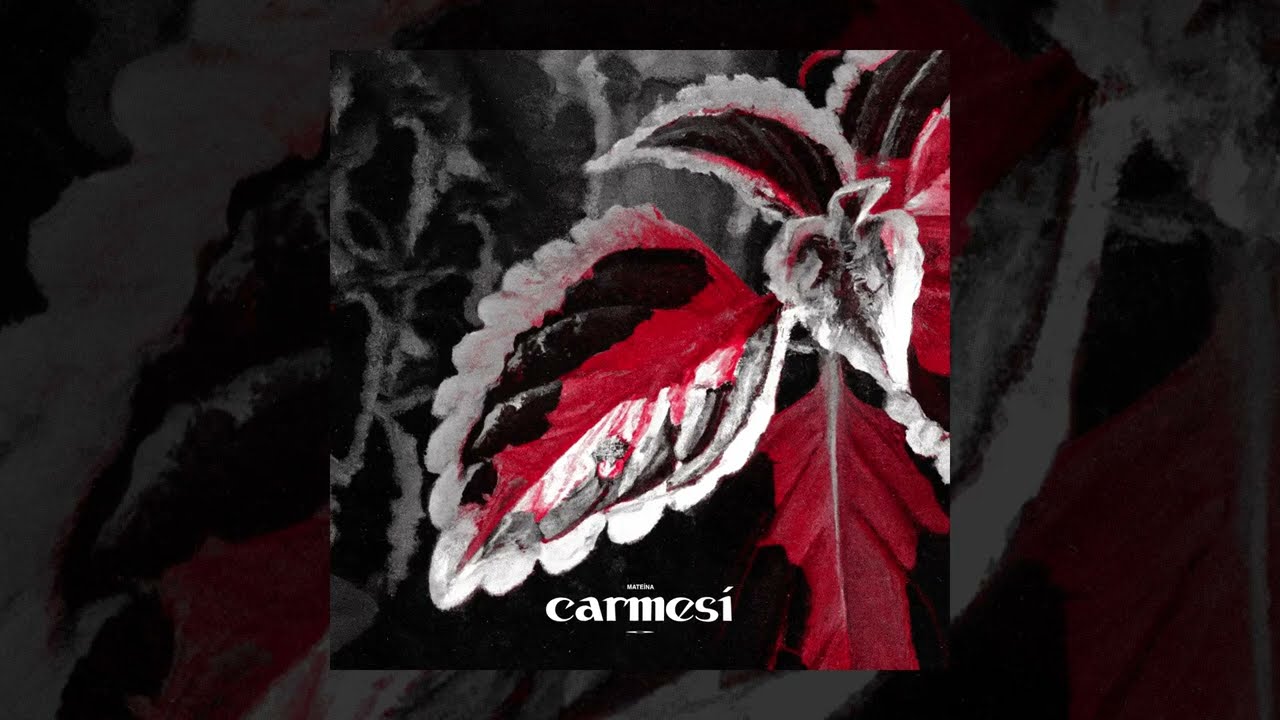 Carmes&iacute; - Mate&iacute;na (Lyrics Video)