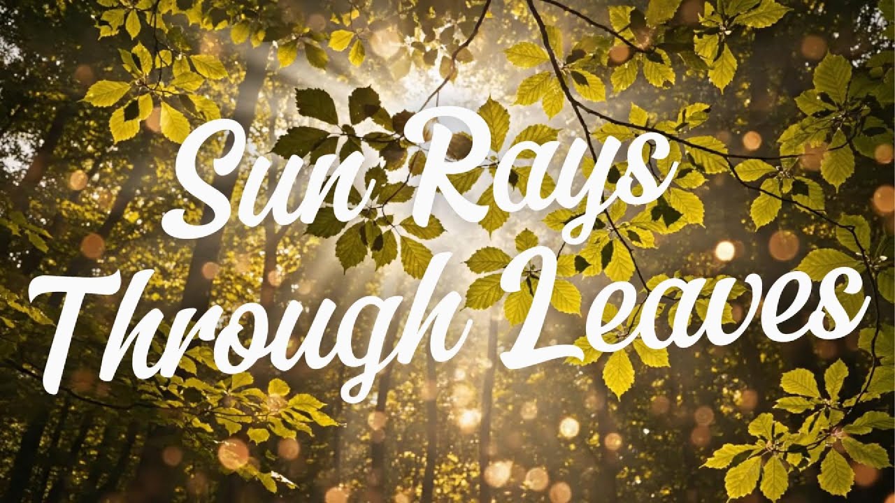 Sun Rays Through Leaves 🌿 Peaceful Forest Ambient • Relaxing Piano Music for Focus & Study