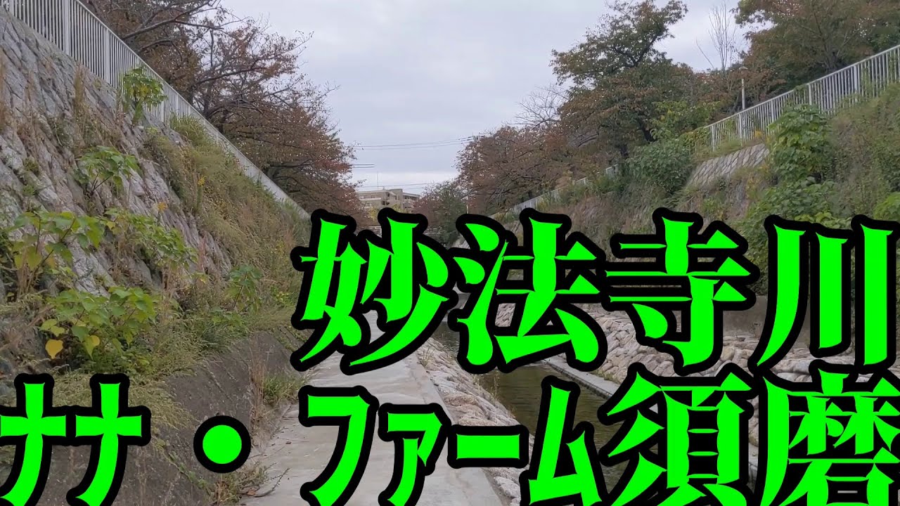 ぶらり #4 板宿から妙法寺川を通ってナナ・ファーム須磨へ行く