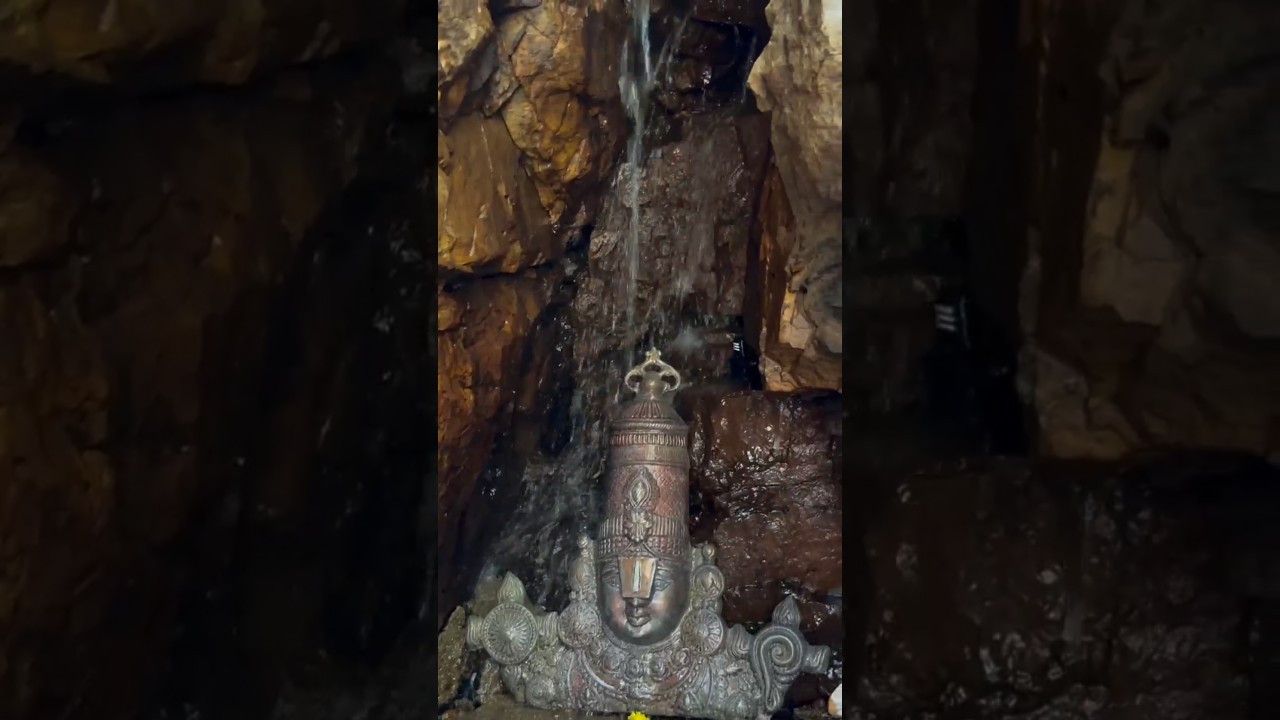 God❤️ #tirumala #tirupati #tirumalatirupati #tirupatibalaji #god #godofwar