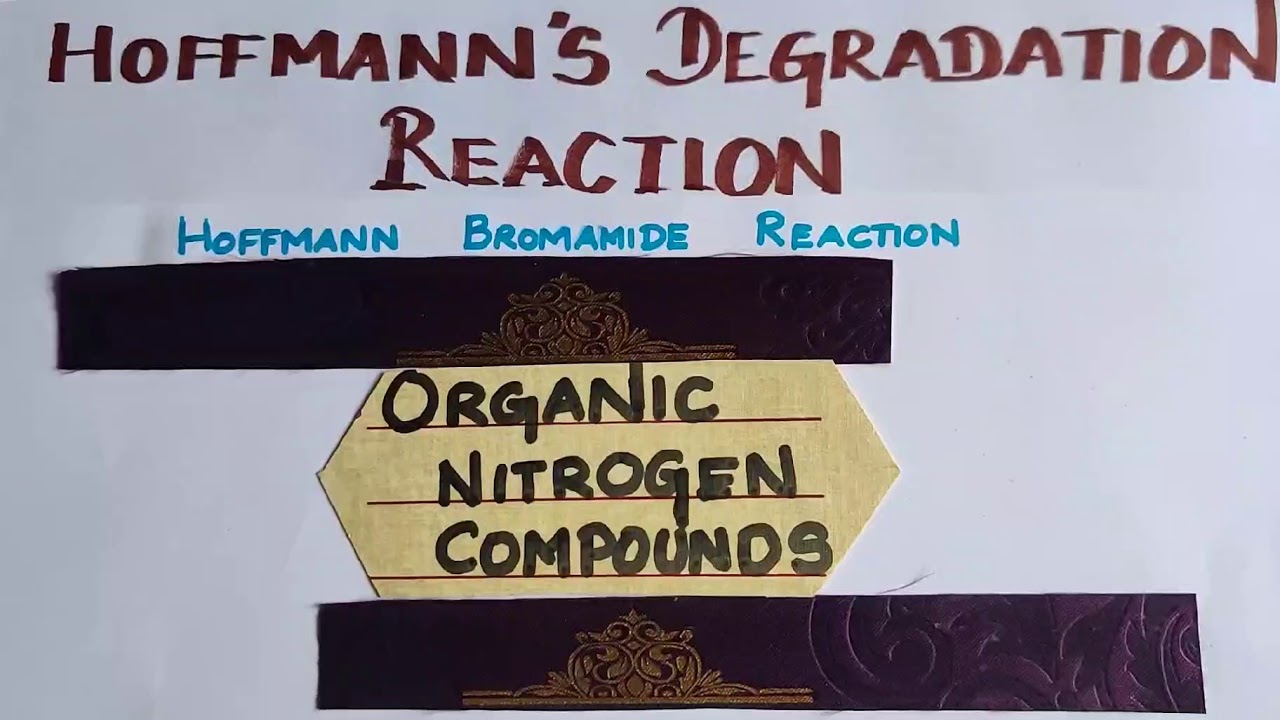 Q-6(i)/Hoffmann's Degradation Reaction/organic Nitrogen Compounds/Vol2/Explanation in TAMIL/TN 12STD