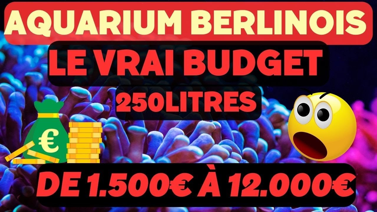 aquarium eau de mer – les vrais prix