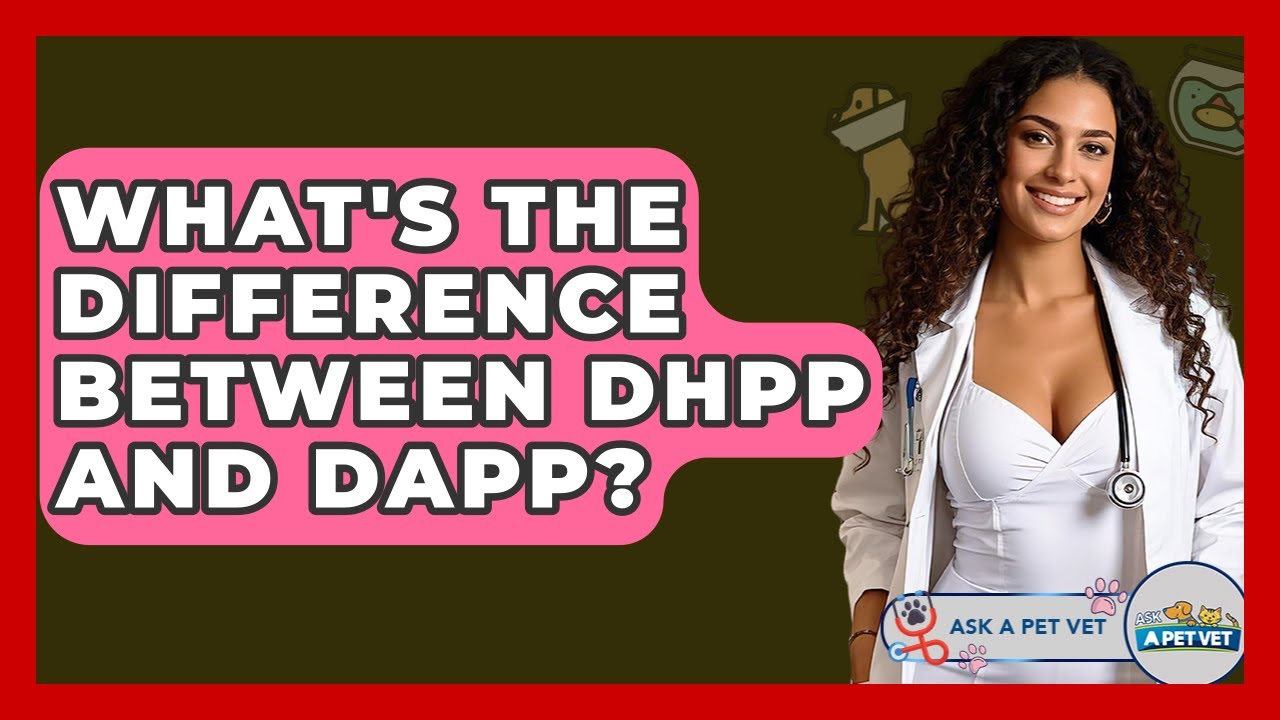 What's The Difference Between DHPP And DAPP? - Ask A Pet Vet