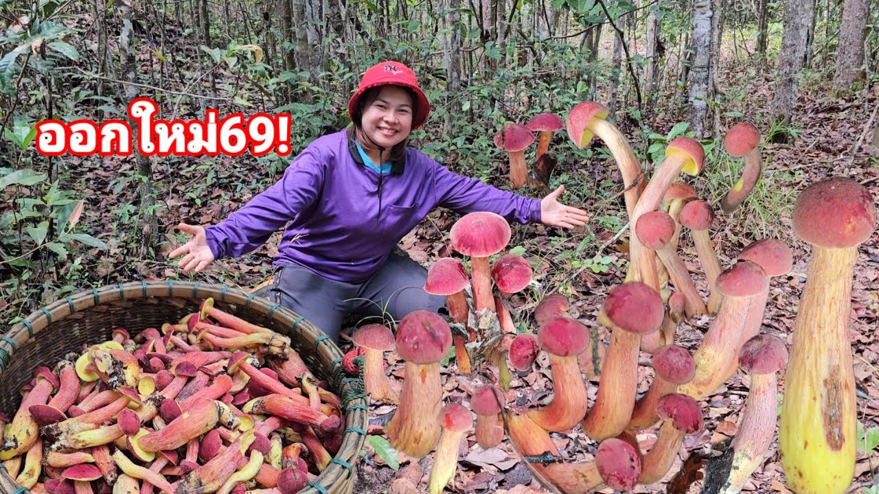 กรี๊ด! ออกใหม่จ้าปี69  