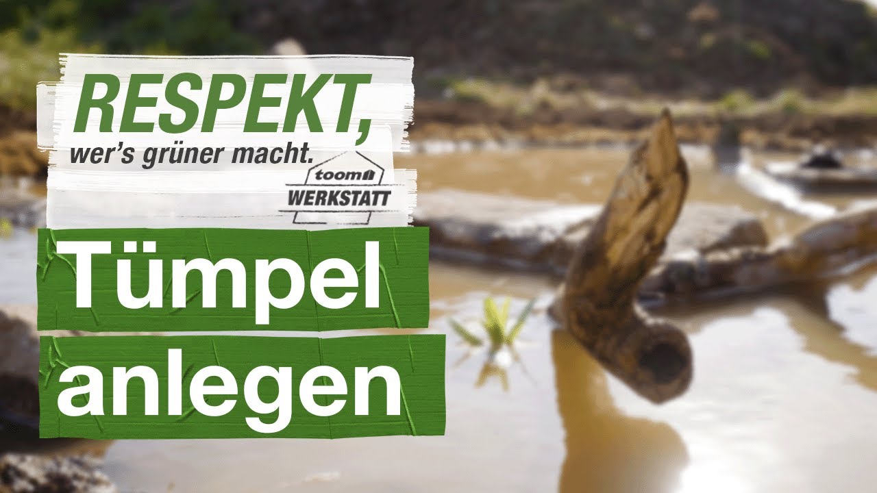 Tümpel anlegen | toom Werkstatt