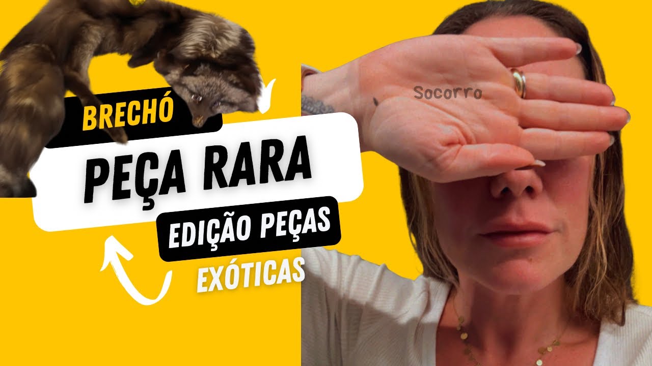 Brechó Peça Rara Frei Caneca - incrível 