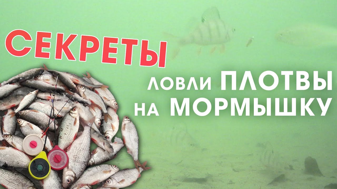 СЕКРЕТЫ ловли плотвы зимой на мормышку со льда
