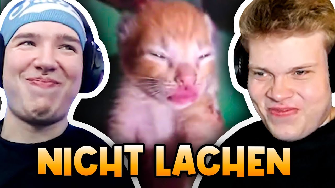 nooreax und filow machen nicht lachen challenge im stream