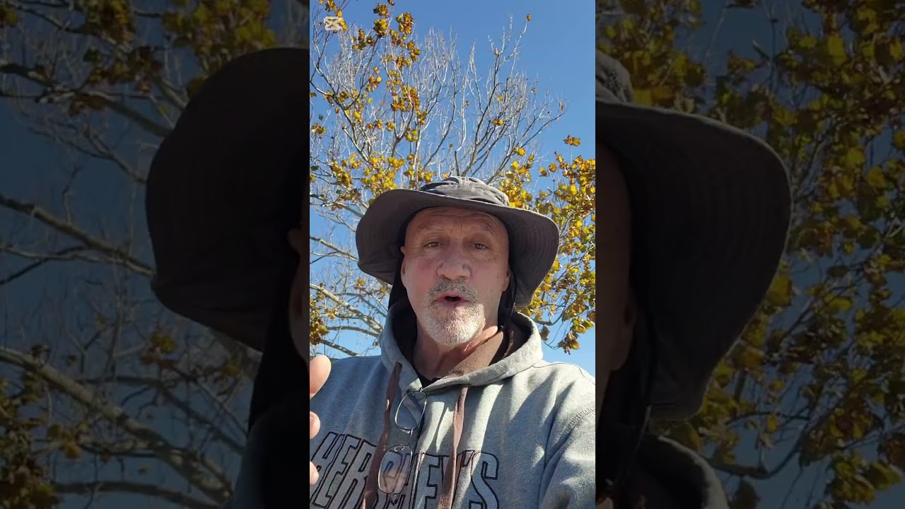 Jour 47  2 Fév 2026