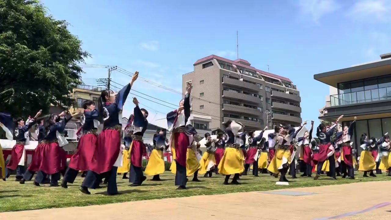 早稲田大学よさこいチーム 東京花火 「彩の輪」湘南よさこい祭り2025