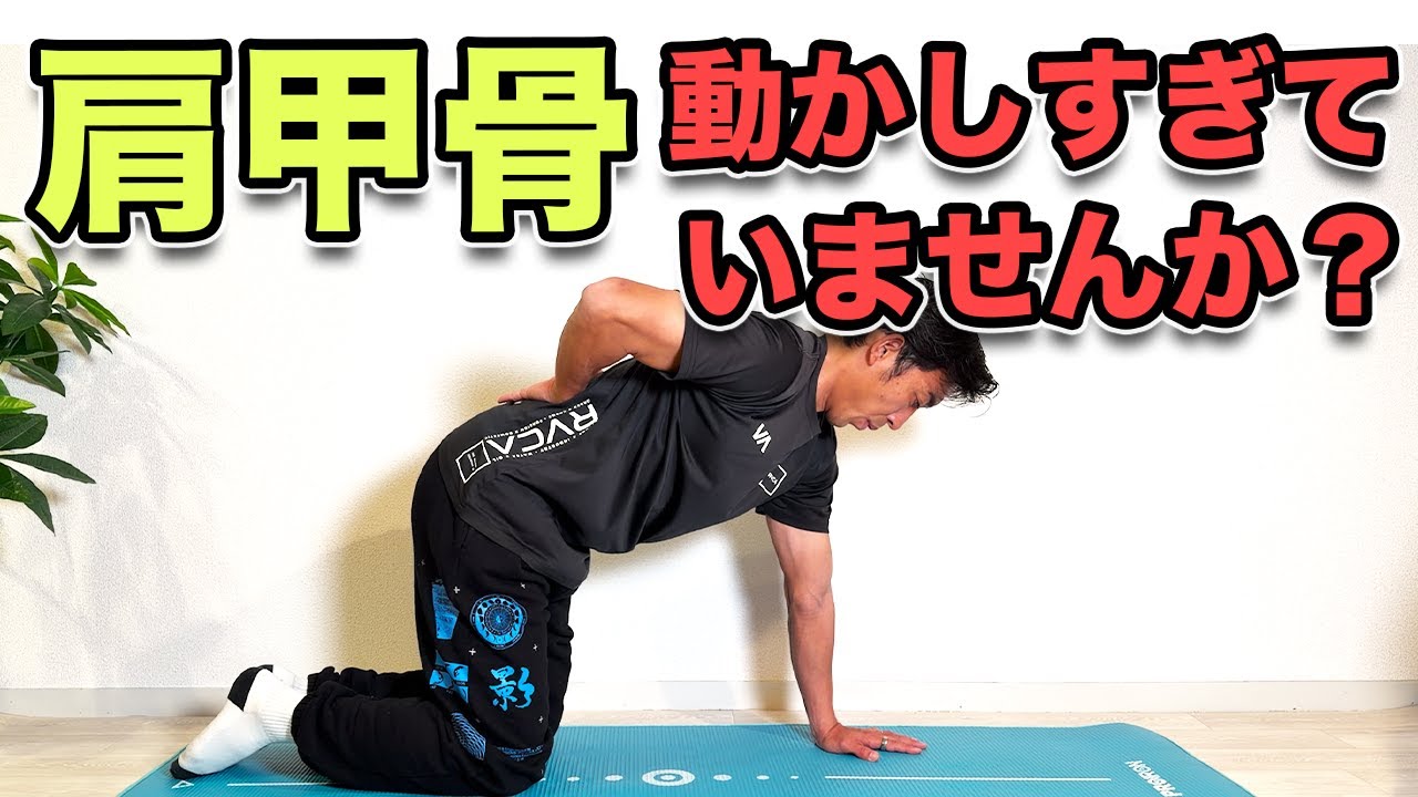 【肩甲骨、定位置へ】実はストレッチだけじゃなく、元の位置に戻すことも大切！