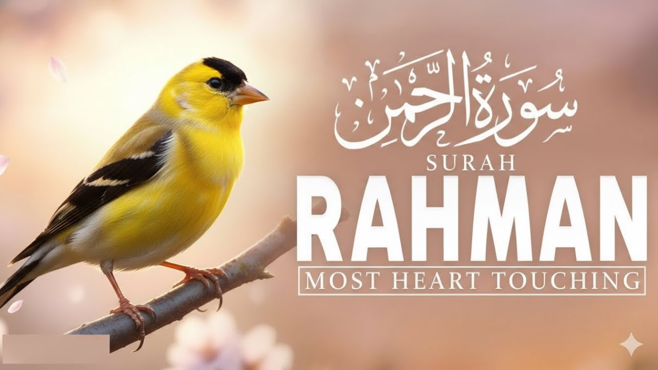 Surah Ar-Rahman (سورة الرحمن) | Soothing Quran Recitation to Ease Your Heart & Mind | SukoonAyat