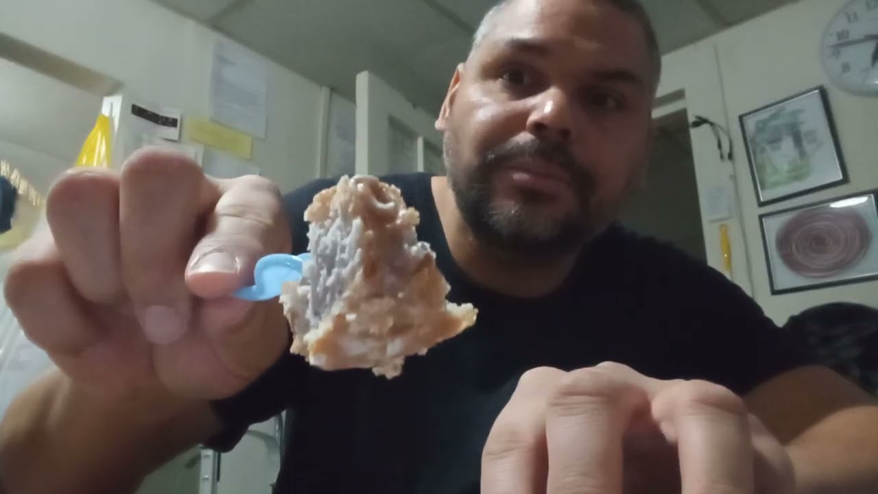 Vlog, food review, blue berry doughnut, Dunkin doughnuts.