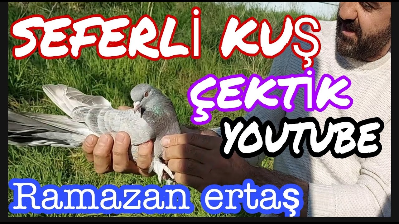 Seferli Kuş &Ccedil;ektik. Youtube ''Ramazan ertaş'' İstanbul Performans Oyun Kuşları
