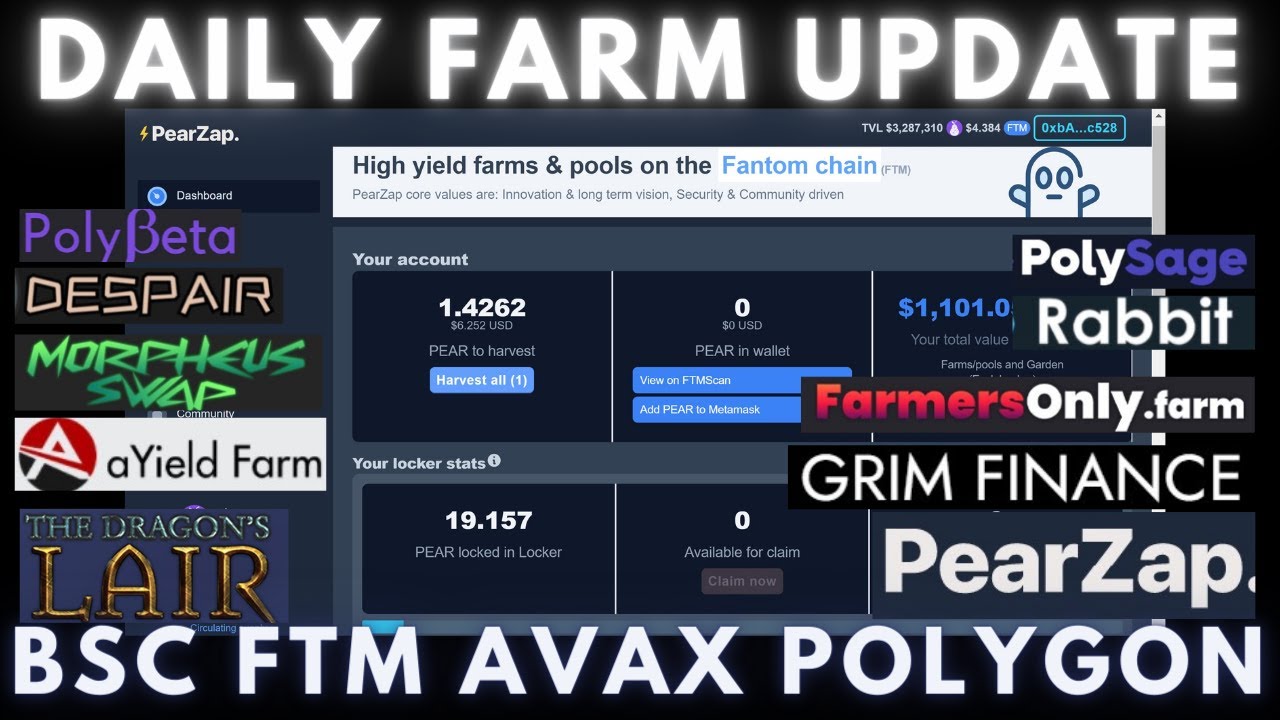 Daily Degen Farm Update | BSC - FTM - AVAX - POLY | Quick Recap