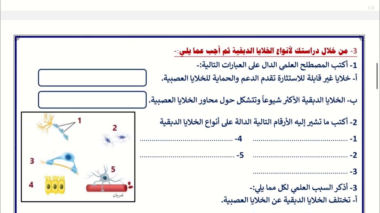 تدريبات الجهاز العصبي 7