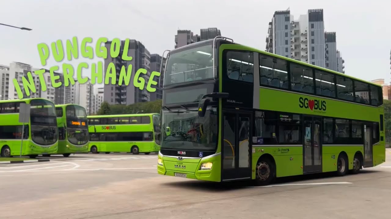 Punggol Interchange | SG Buses | Three door Bus 