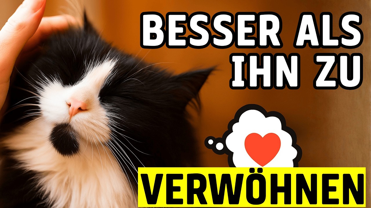 BESSER ALS IHRE KATZE ZU VERWÖHNEN.