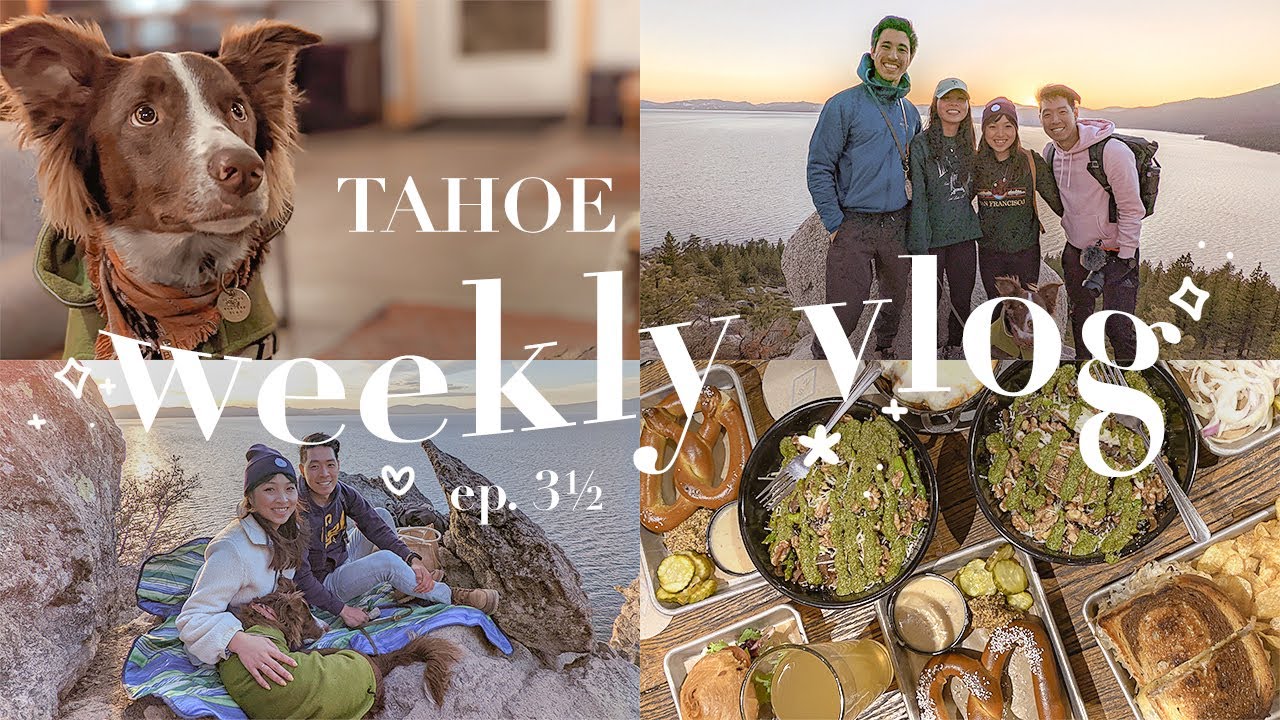 [03&frac12; vlog] road trip to tahoe - archie's first birthday 🐶🎂🏞