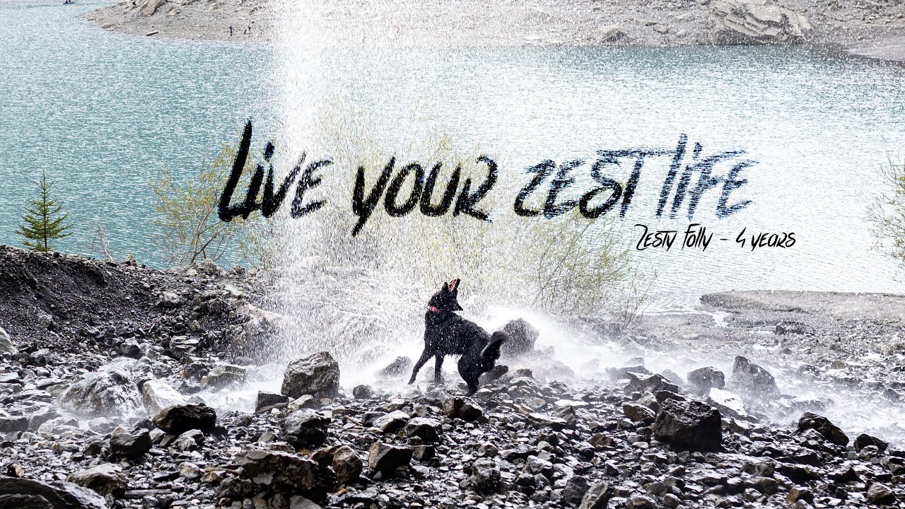 Zesty Folly .:Live your zest life:. [4 years]