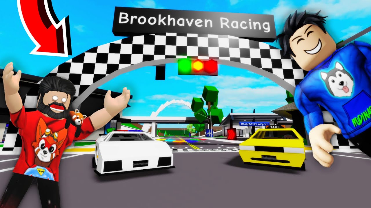 CURSE ILEGALE PE ROBLOX BROOKHAVEN cu NOCIVANU