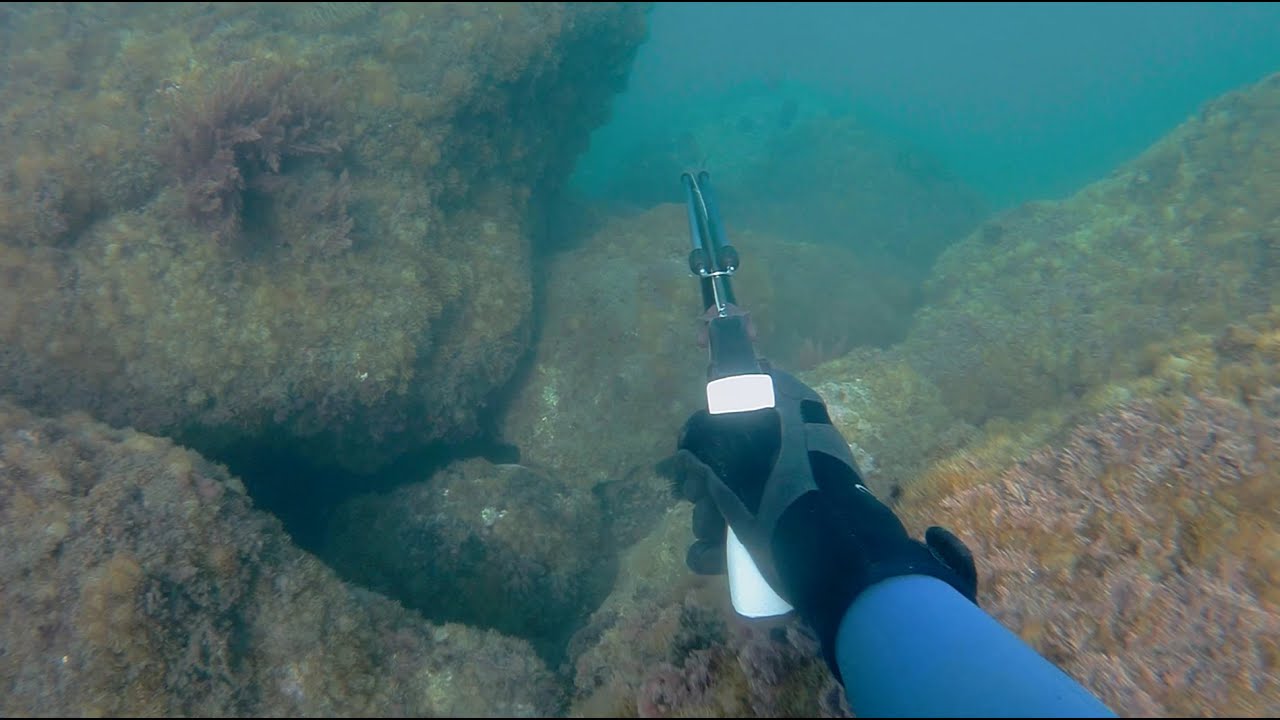 PESCA SUBMARINA A POCA AGUA Recopilatorio