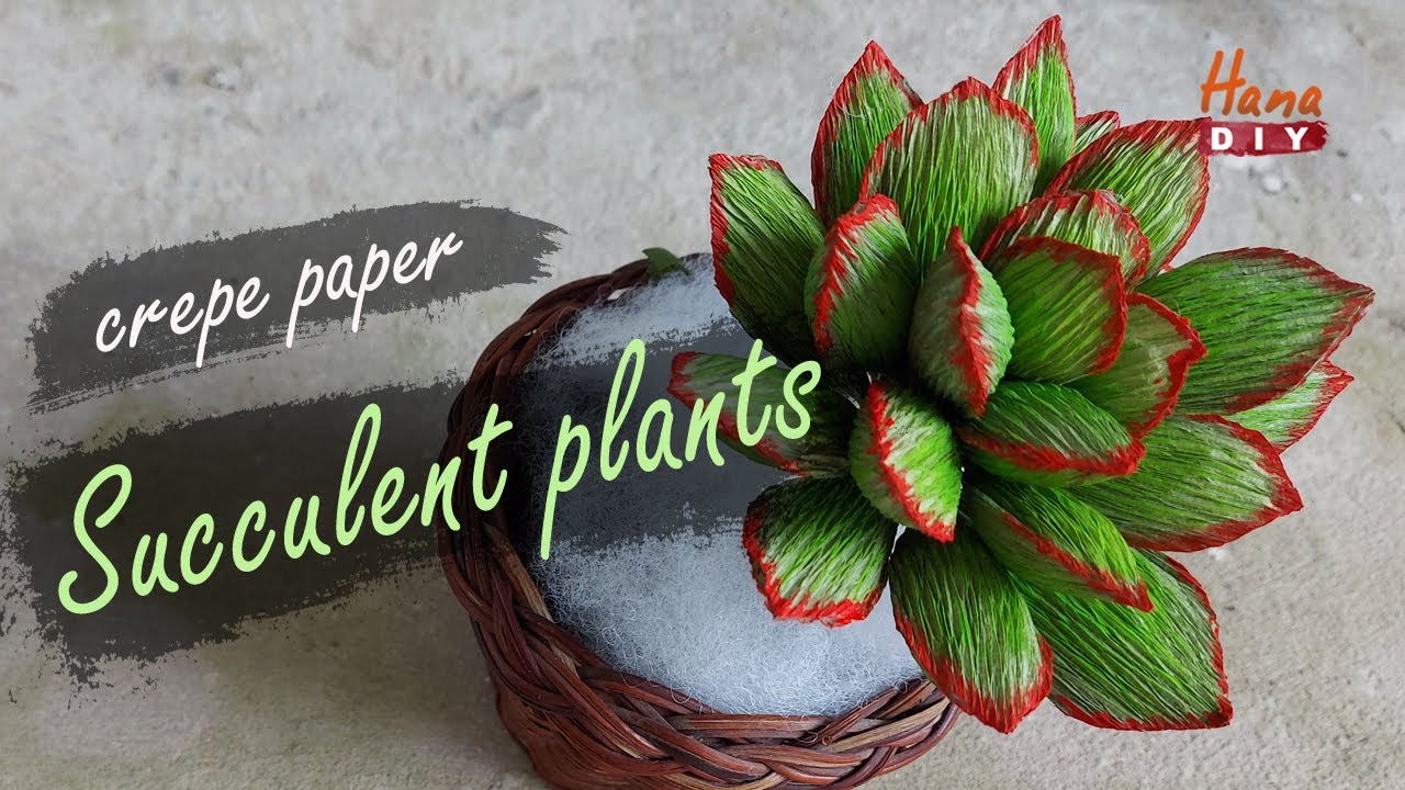 Easy paper Succulent plants - HanaDIY