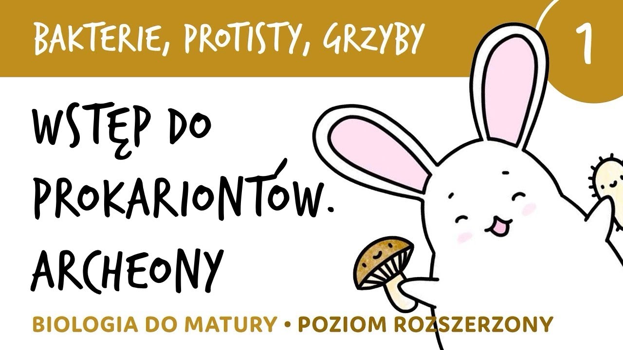 Bakterie, protisty, grzyby 1 🦠 Wstęp do prokariontów, archeony  - biologia do matury rozszerzona