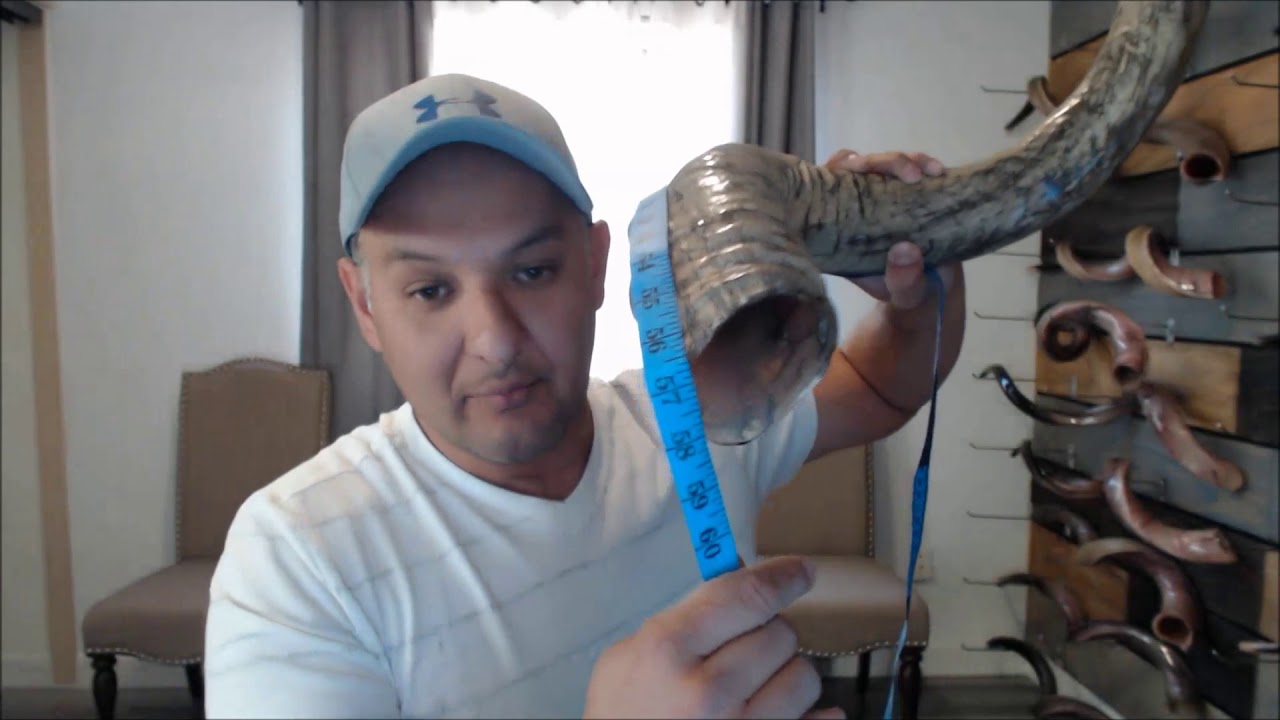 IMPRECIONANTE SHOFAR DE 56