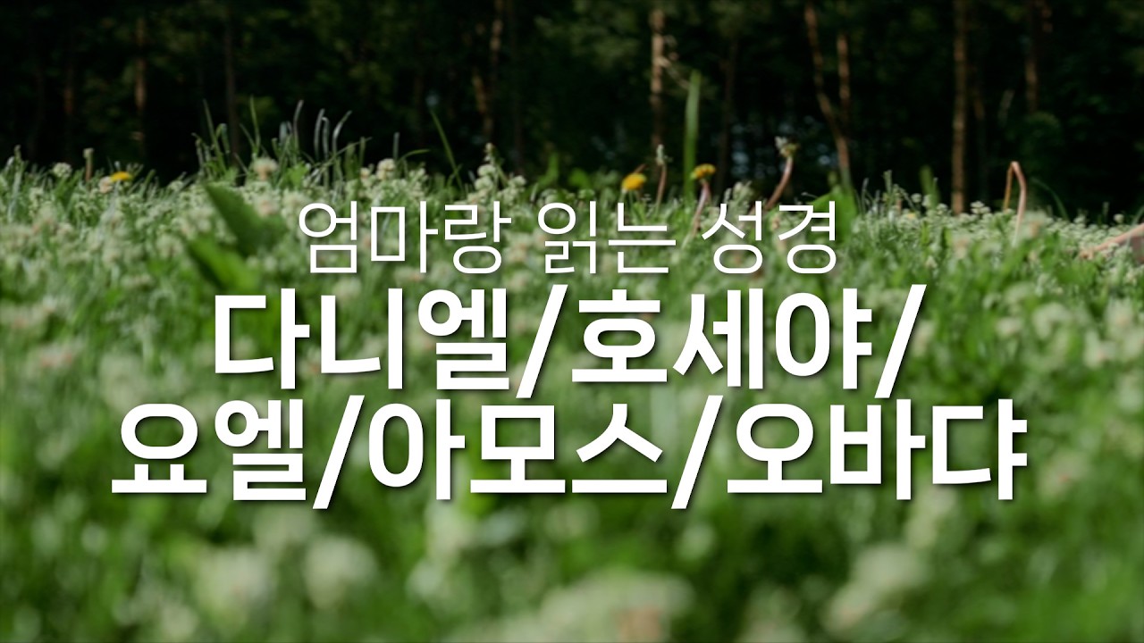 다니엘 / 호세야 / 요엘 / 아모스 / 오바댜. (1달1독). 바이블 동서남북