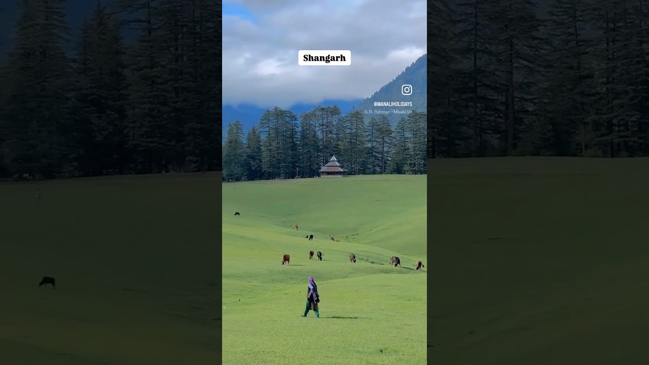 Top 3 Places to visit in Manali | Hidden Gems in Manali #shortsfeed #touristguide #explore #ytfeed