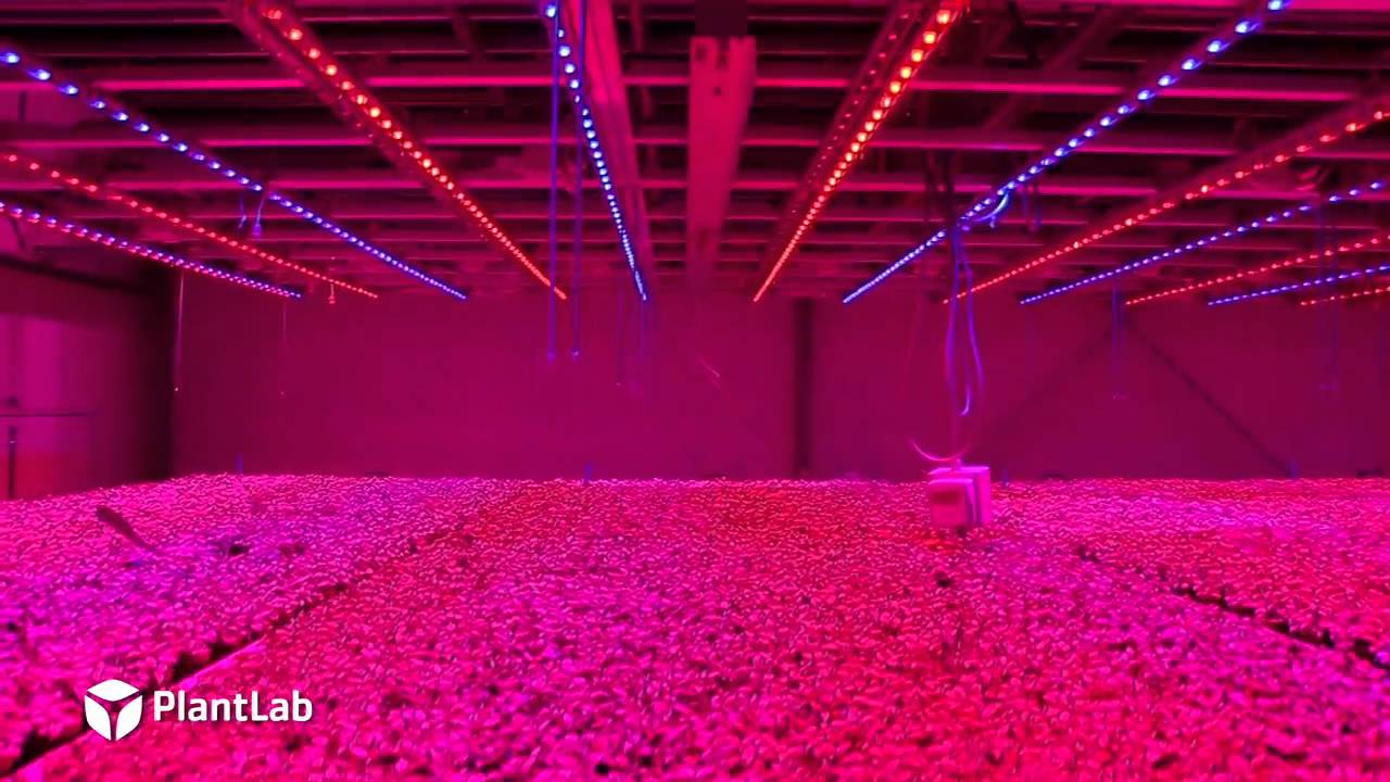 PlantLab Plant Production Unit