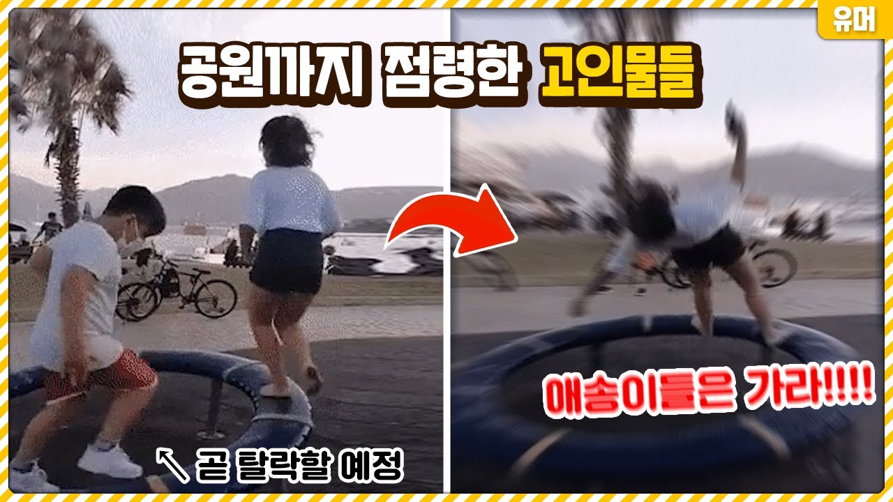 이거 이렇게 타는거였어..? 이제는 공원까지 점령해버린 고인물들ㅋㅋㅋㅋㅋㅋㅋㅋㅋ