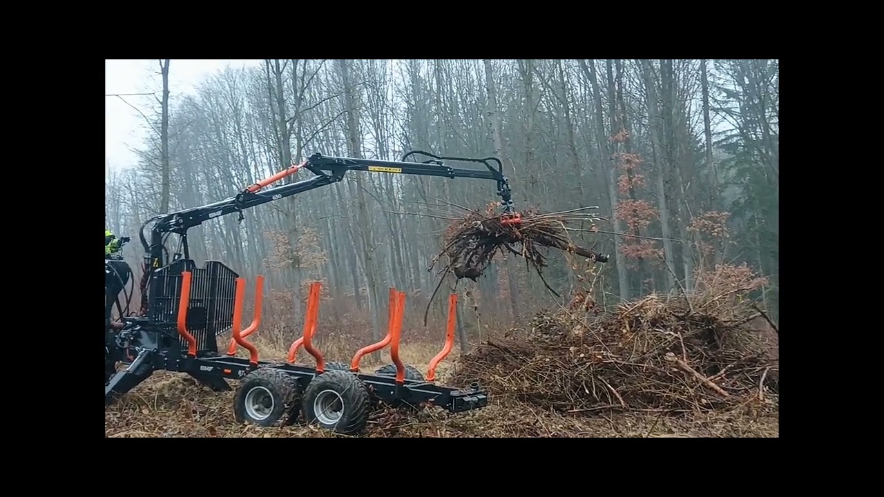 Úklid paseky, před sázením 1/3