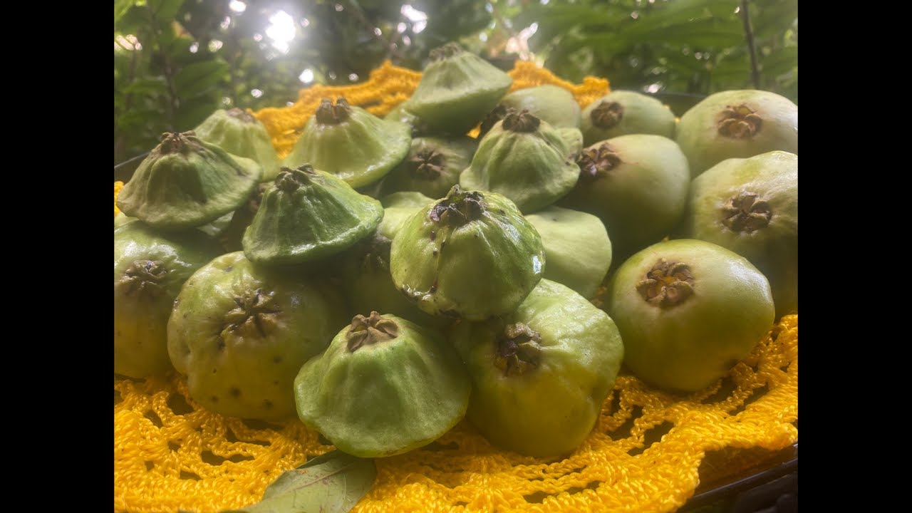 Quem sabe o nome dessa fruta?