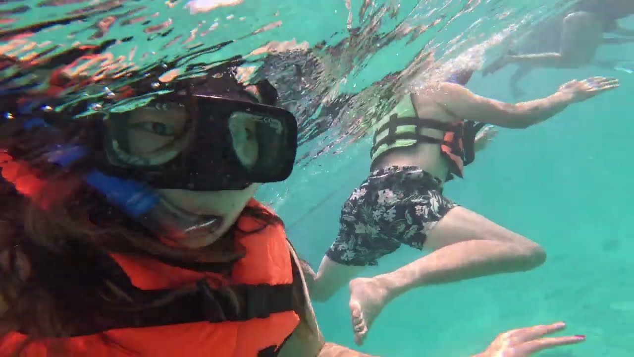 *Raw Footage* Snorkeling with Turtles Experience in Riviera Maya, Mexico 🐢