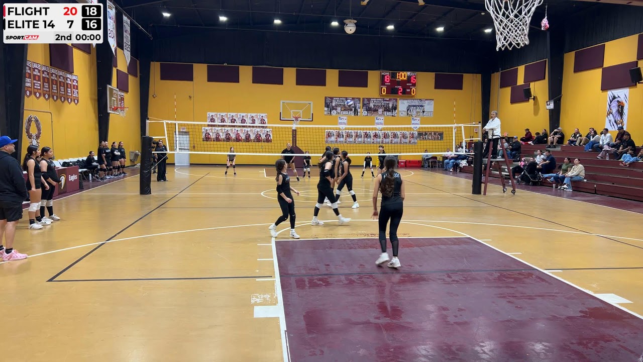 Flight vs Elite 14 