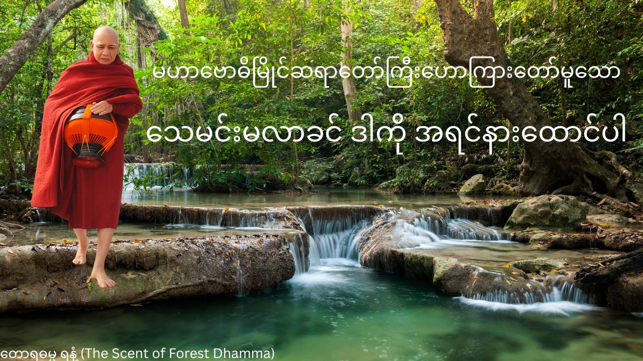 ရခဲလှသော 