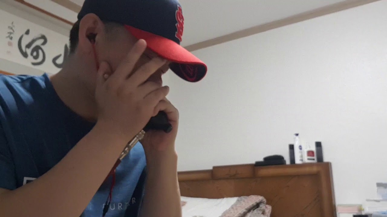 Juke - Little Walter (Blues Harmonica Cover)