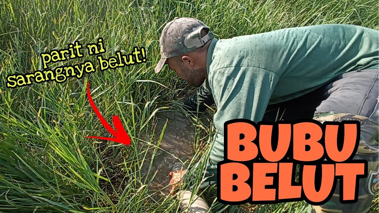 #EP587 Padu! Terjumpa Sarang Belut dalam Parit Ni - tahan bubu belut