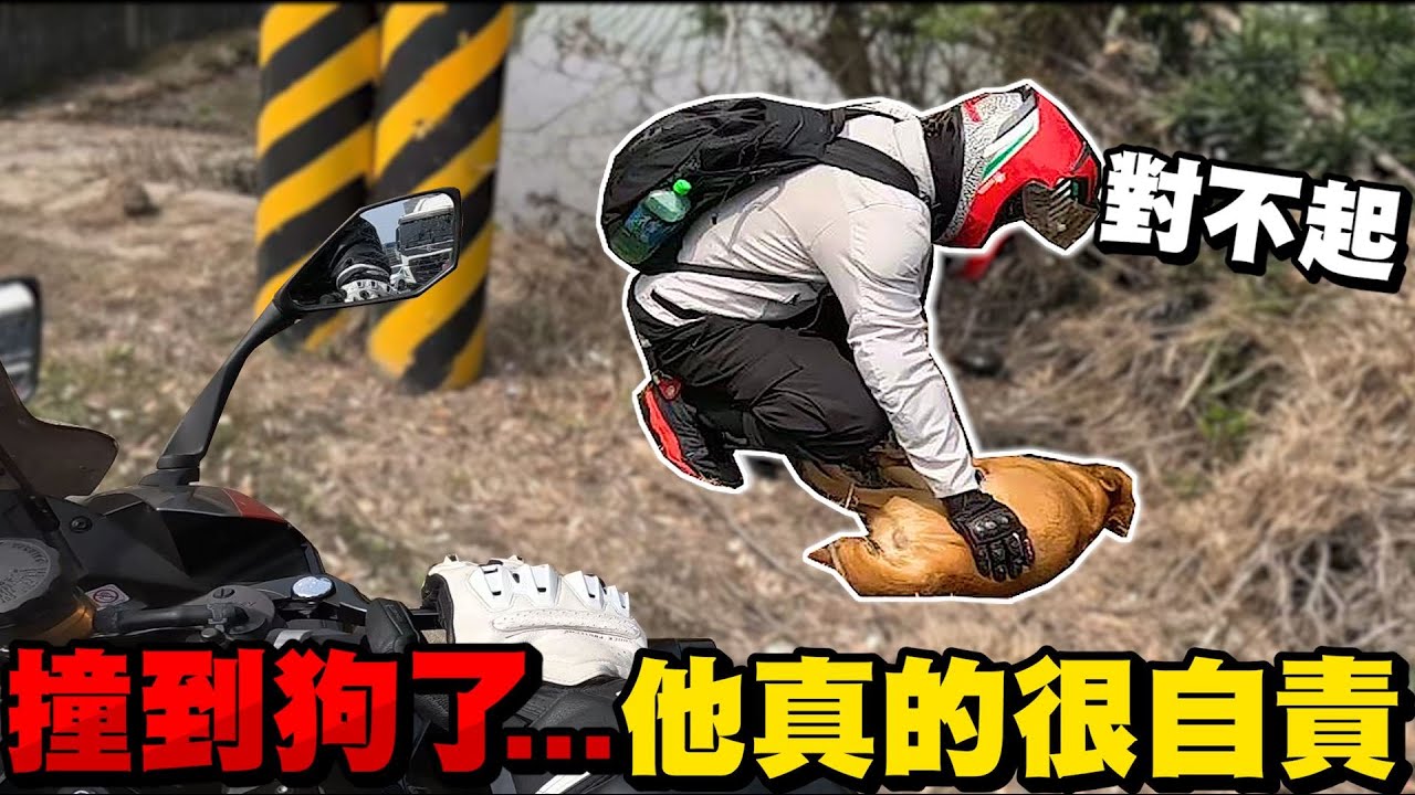 重機撞到狗了..他真的很自責!! ...