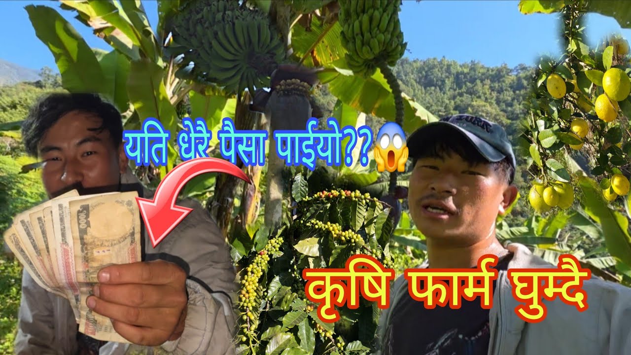 कृषि फार्ममा सिजन अनुसारको थरीथरीका फलफुल, तरकारी | सहयोगको आवश्यक🙏