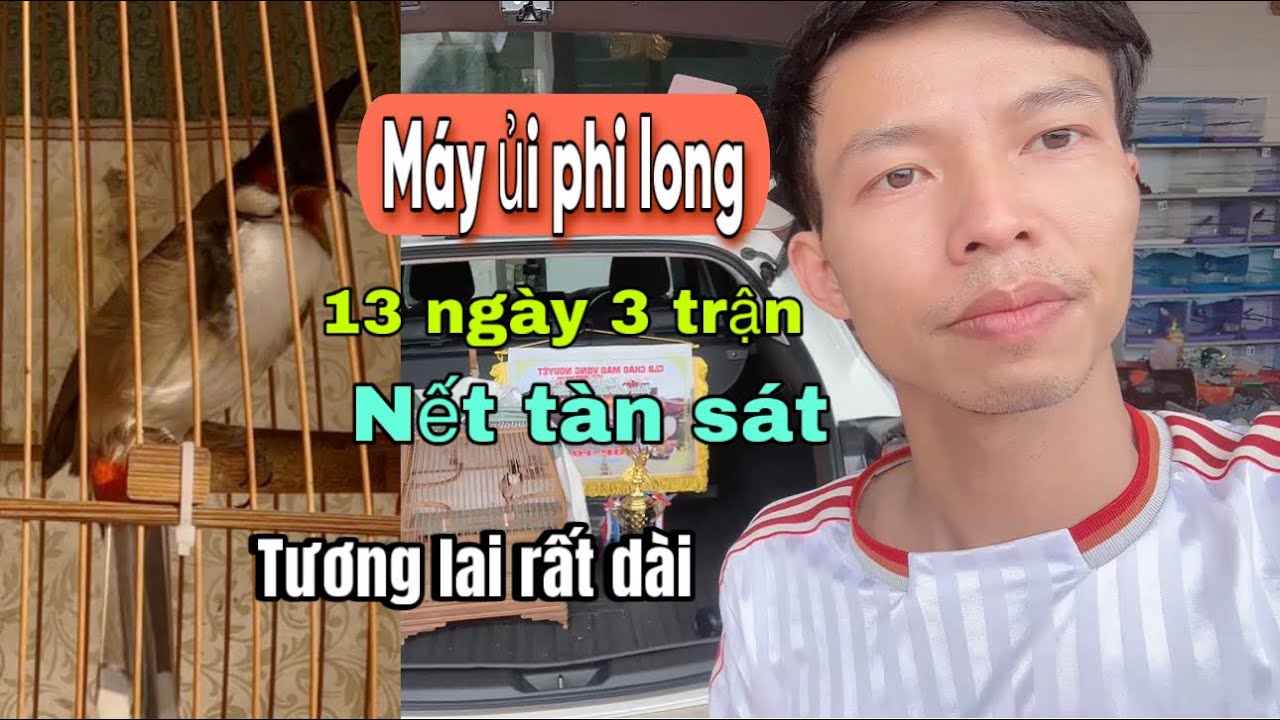 SIÊU SAO TRẺ .PHI LONG – MÁY ỦI TÀN S.ÁT ĐẤU TRƯỜNG | 13 NGÀY 3 TRẬN CĂNG LỬA – LÂN TRÂU LỰC VÔ BIÊN