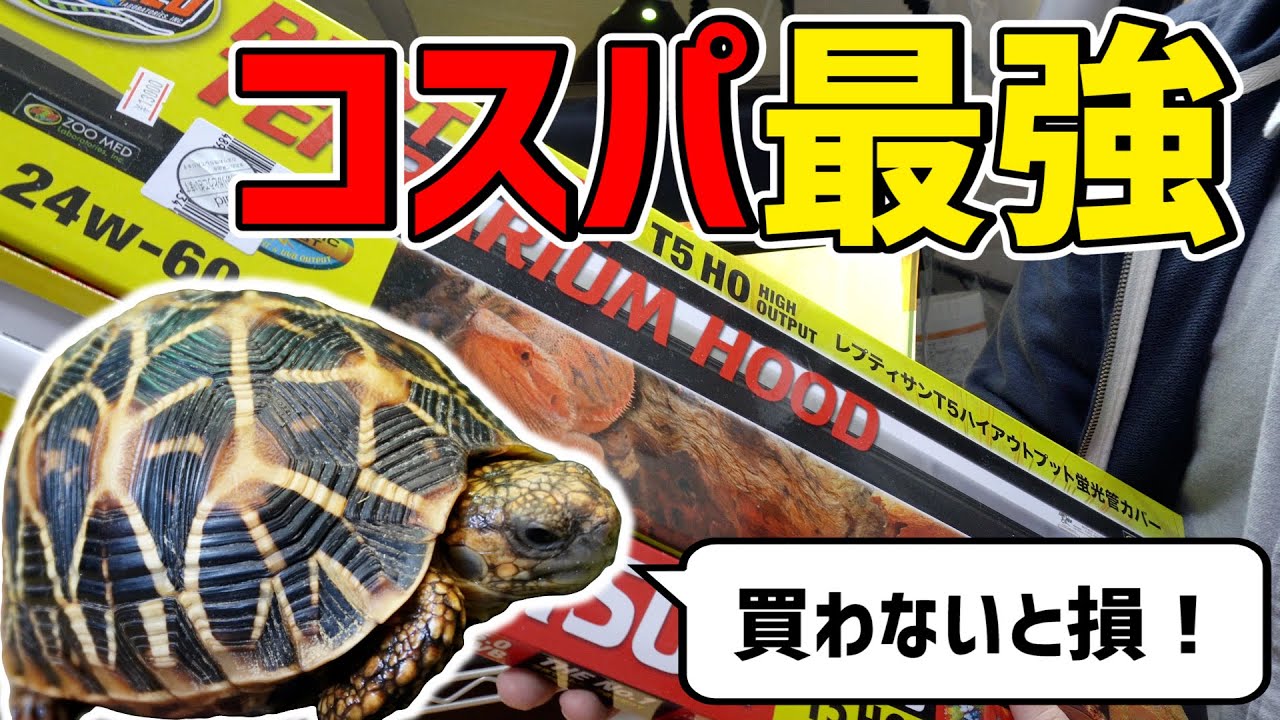 【おすすめ】最強の爬虫類用紫外線ライトでリクガメケージをリニューアル！！【レプティサン T5HO】