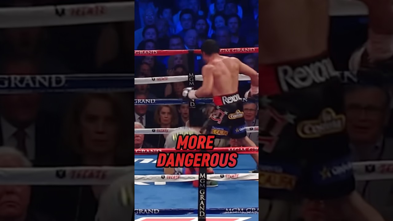 Boxing vs MMA: The brutal truth DC revealed on Joe Rogan #fighting #boxing #mma